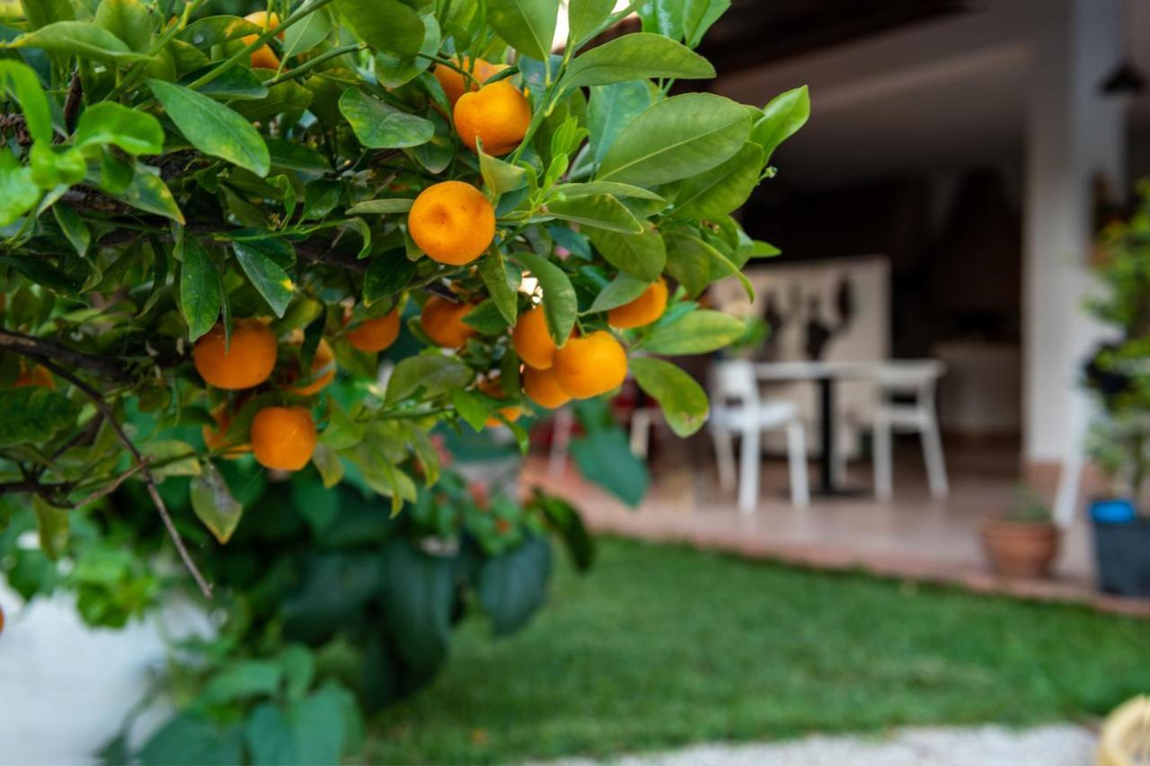 Villa Megna - Green Paradise B&B Palermo Eksteriør bilde