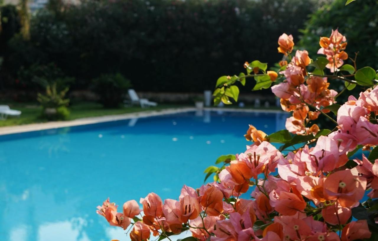 Villa Megna - Green Paradise B&B Palermo Eksteriør bilde