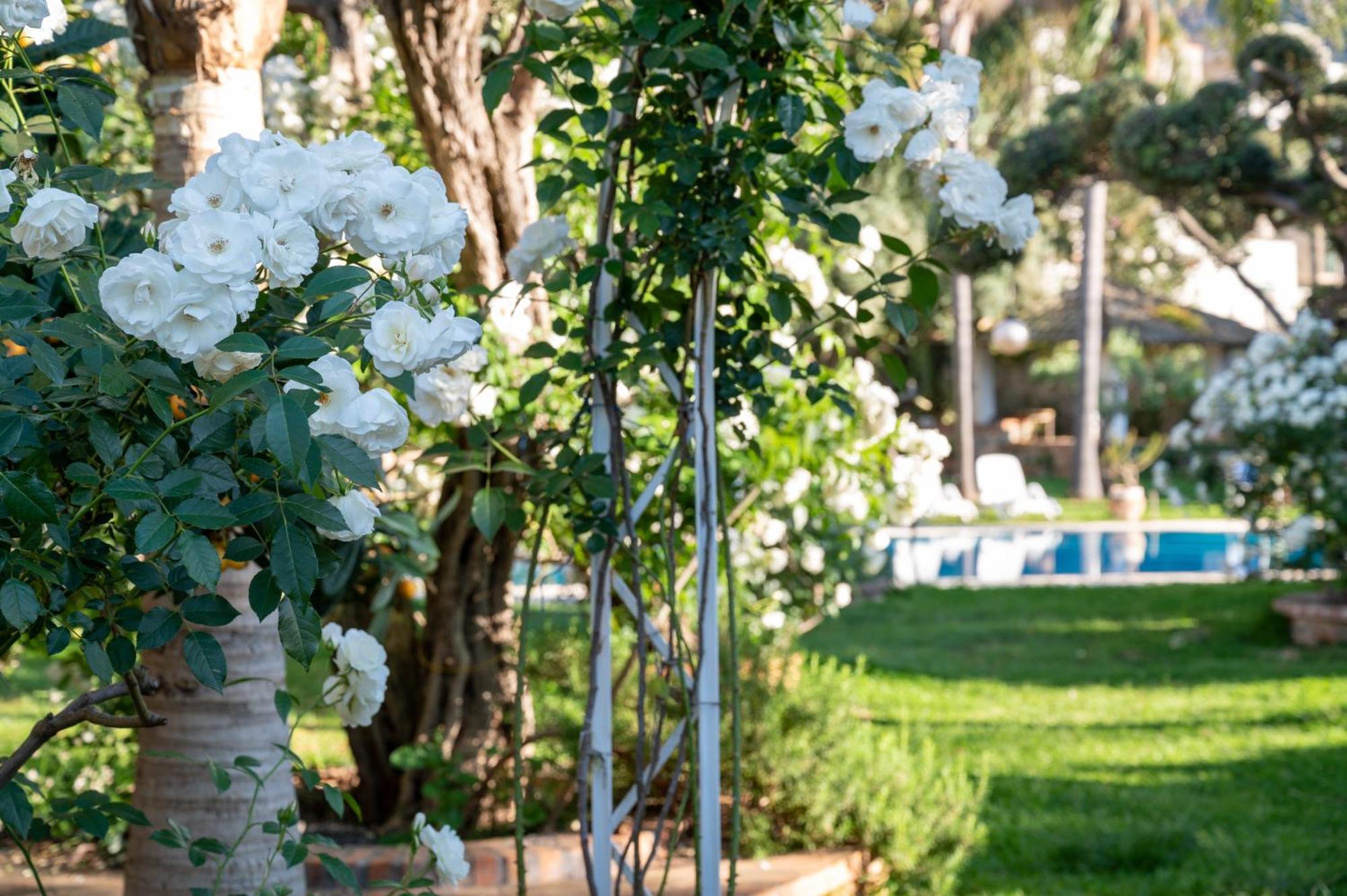 Villa Megna - Green Paradise B&B Palermo Eksteriør bilde